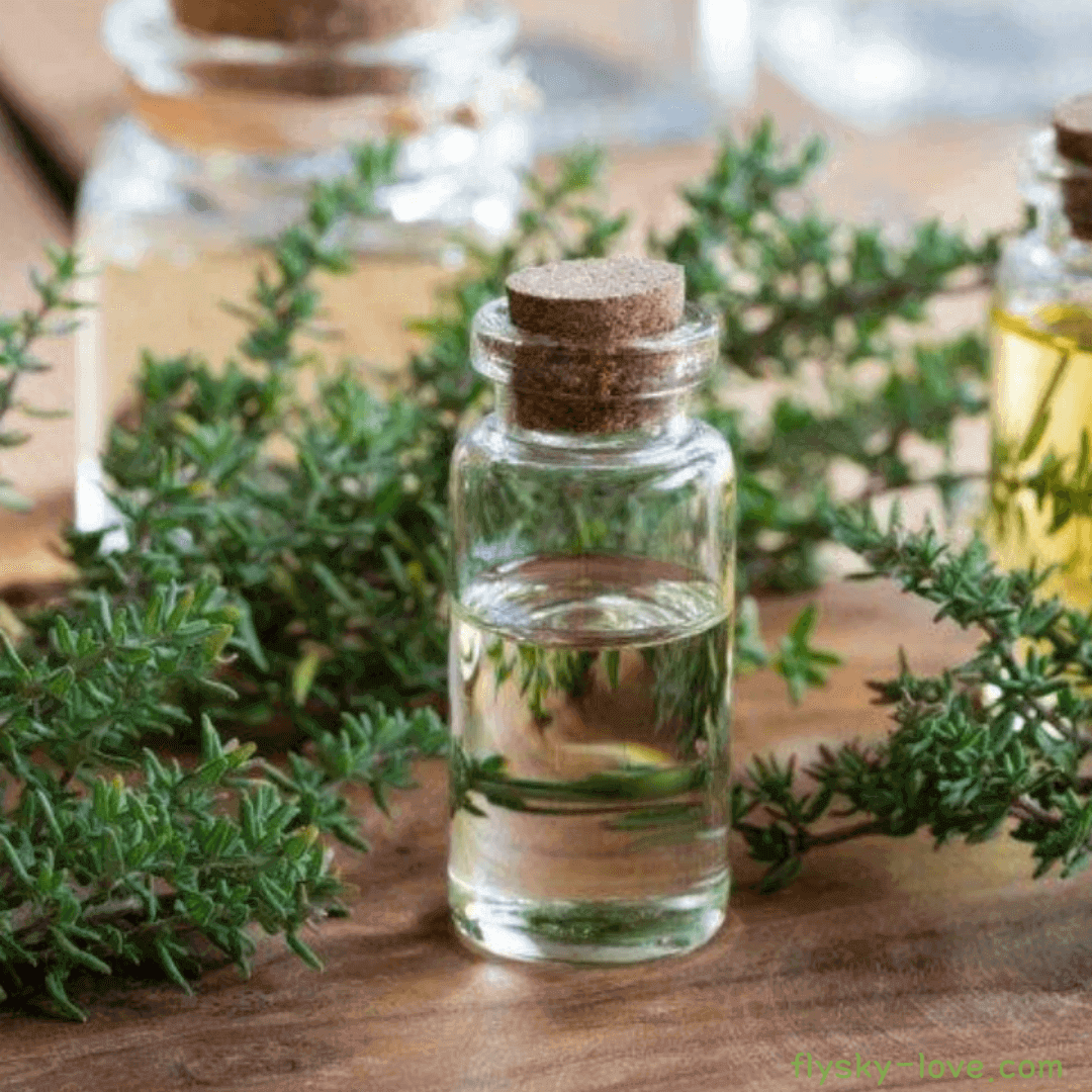 타임 (Thyme) , 타임 에센셜 오일