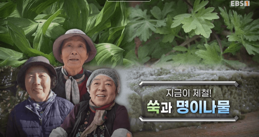 극한직업 함평 쑥떡 손불신촌떡집 택배 주문