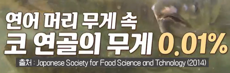 프로테오글리칸 추천