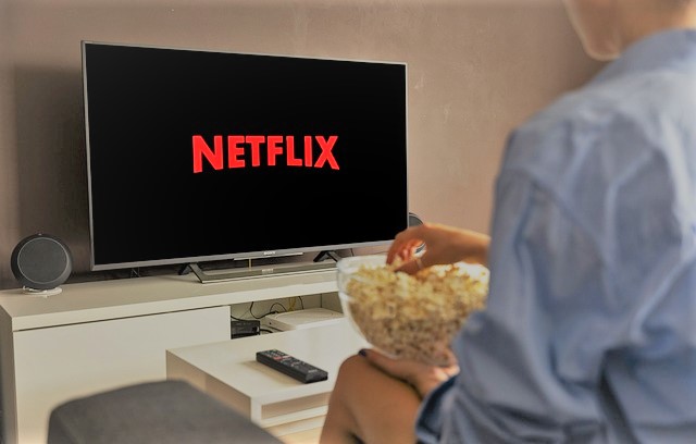 넷플릭스 경쟁력