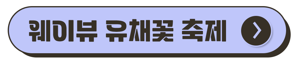 제주도 축제