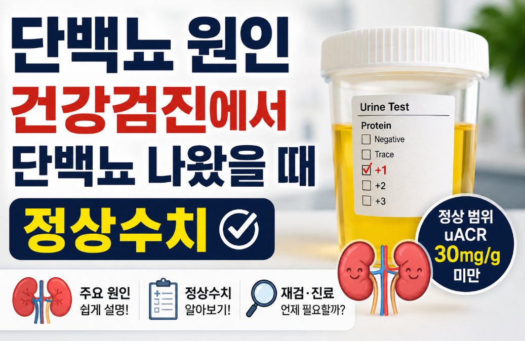 단백뇨 원인｜건강검진에서 단백뇨 나왔을 때 정상수치