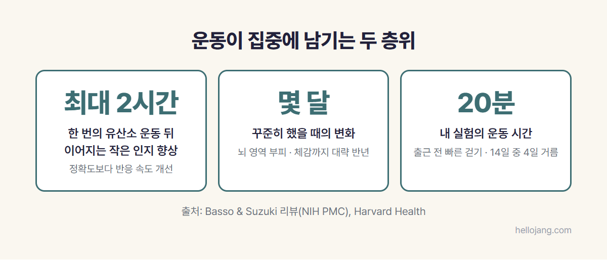 한 번의 유산소 운동 효과는 최대 두 시간가량 이어지고, 뇌 영역 변화는 몇 달간 꾸준히 했을 때 관찰된다는 연구와 출근 전 20분 운동 실험을 정리한 카드 그림