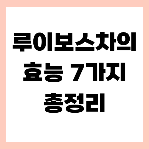 루이보스차의 효능 7가지 총정리