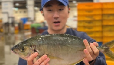 생방송투데이 오늘도 달린다 청년 사장 달려야 산다 노량진 도시어부 피쉬서핑