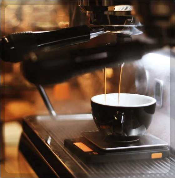 커피는 언제부터 마셨을까 커피의 역사 A to Z