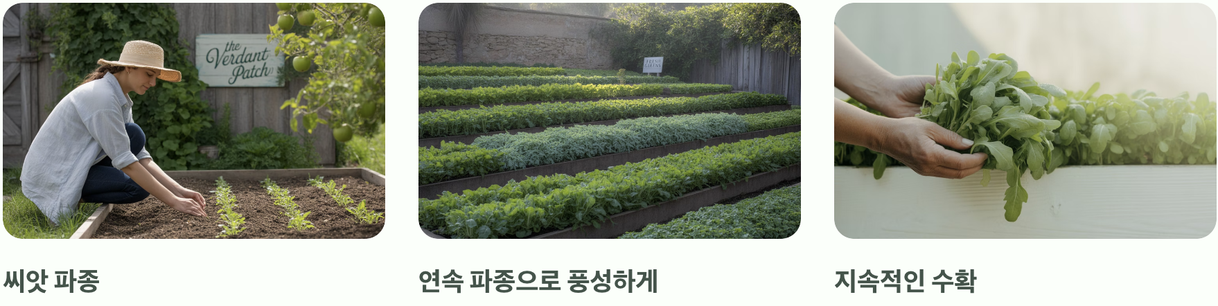 가성비를 따진다면 정답은 씨앗