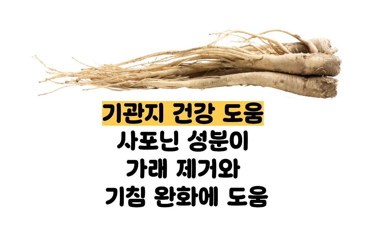 도라지청의 효능