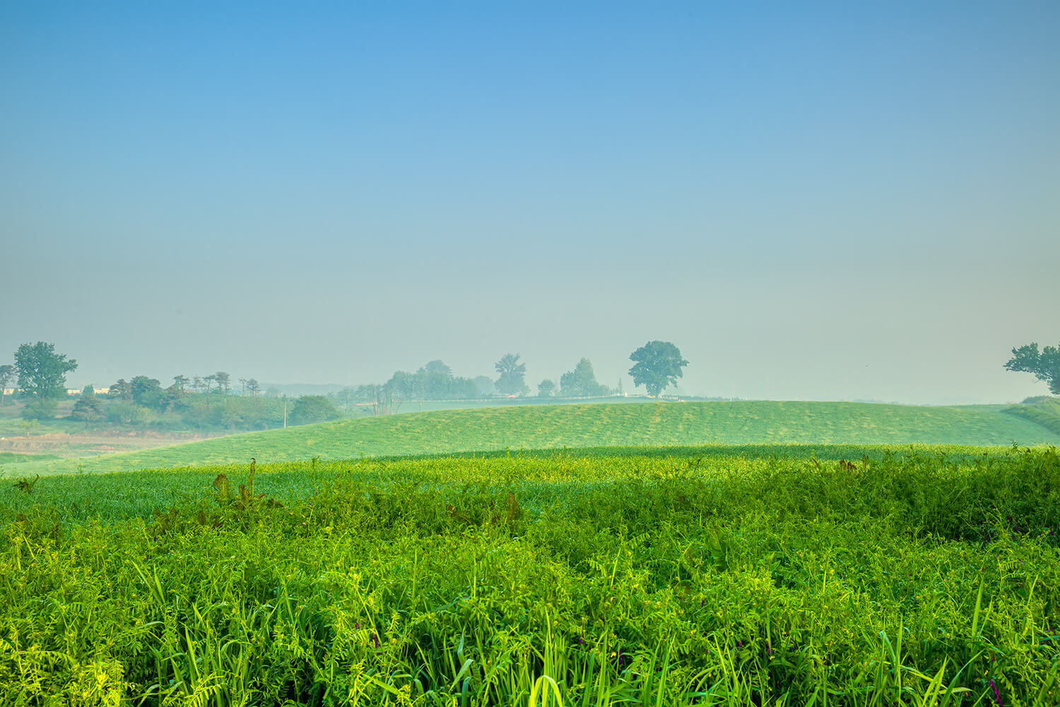 안성목장 일출3