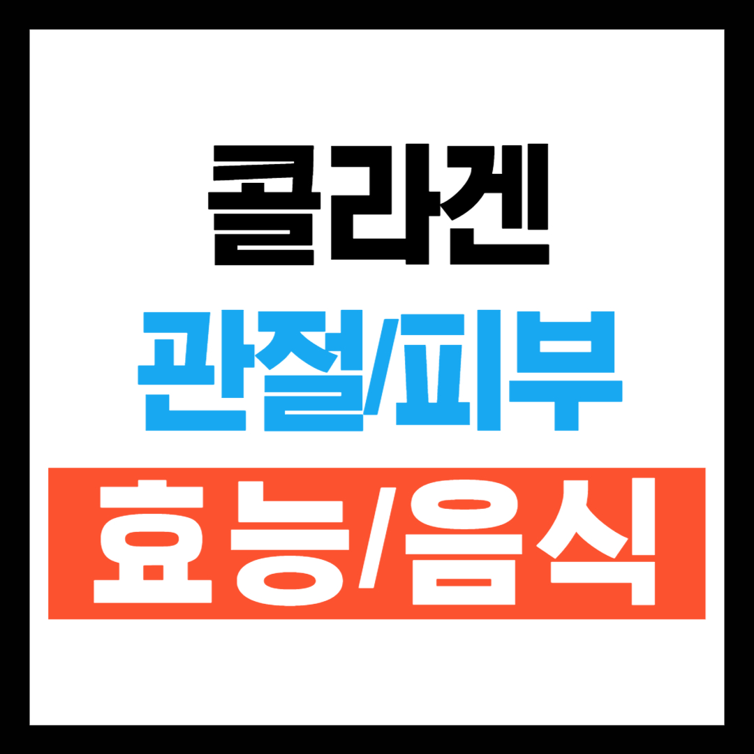 콜라겐 효능