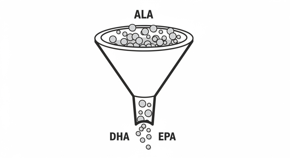 식물성 오메가3 부작용