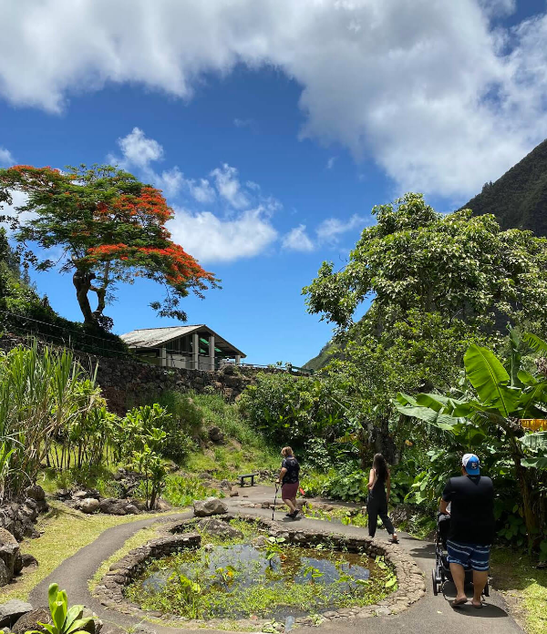 마우이-이아오-계곡-식물원-사진