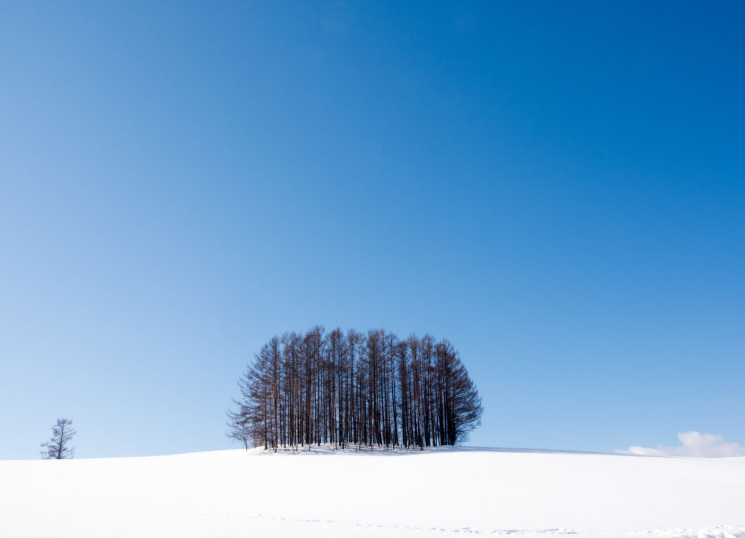 연차 없이 주말 활용 삿포로 2박 3일 황금 일정 설경 미식 직장인 여행