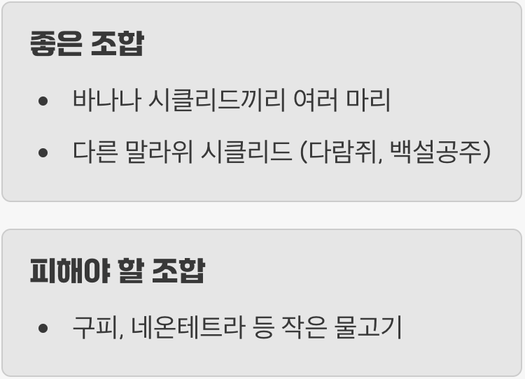 어떤 친구와 잘 지낼까요? (합사 정보)