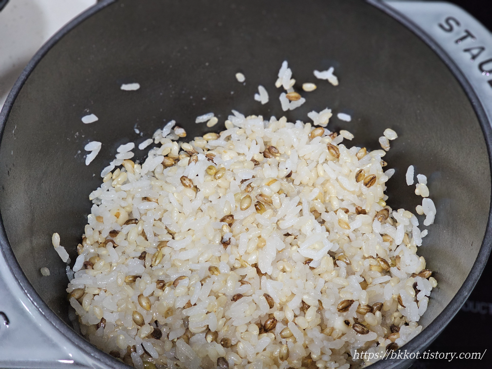 스타우브 라이스 꼬꼬떼 16