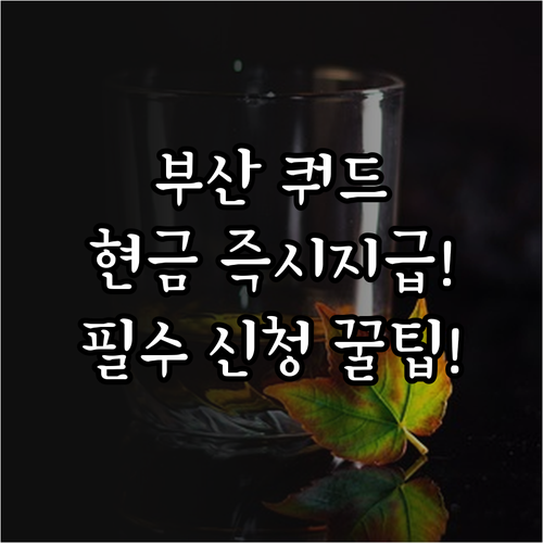 부산진구 쿼드 검사비 지원 2025 ..