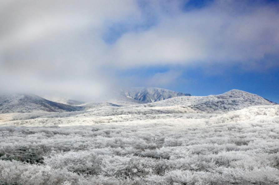 제주 1100고지습지