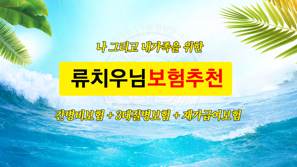 류치우님추천보험