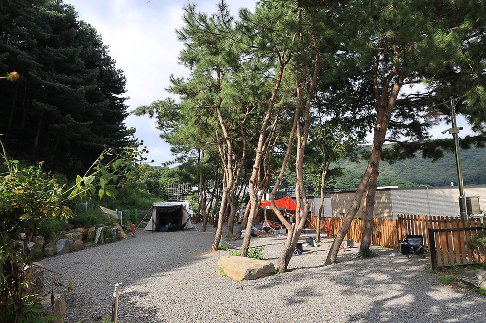 성남시 청계산골든밸리캠핑장 소개