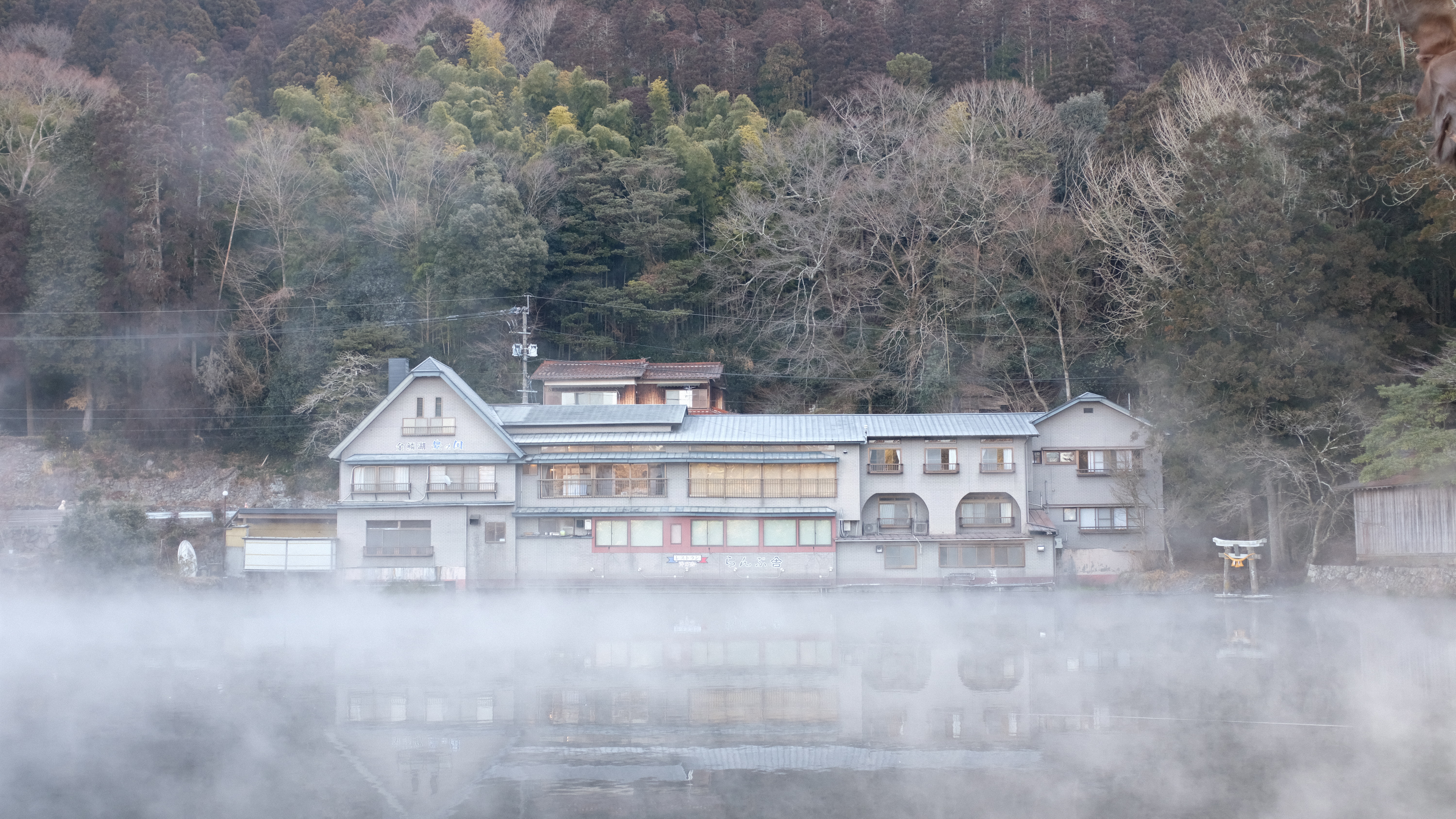 유후인 긴린코호수 여행 (물안개, 아침풍경, 사진명소)