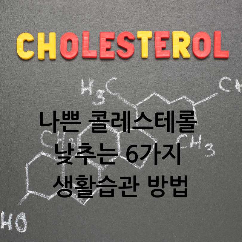 나쁜 콜레스테롤 낮추는 방법