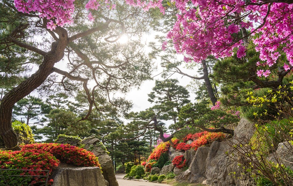 화담숲 모노레일 예약 꿀팁