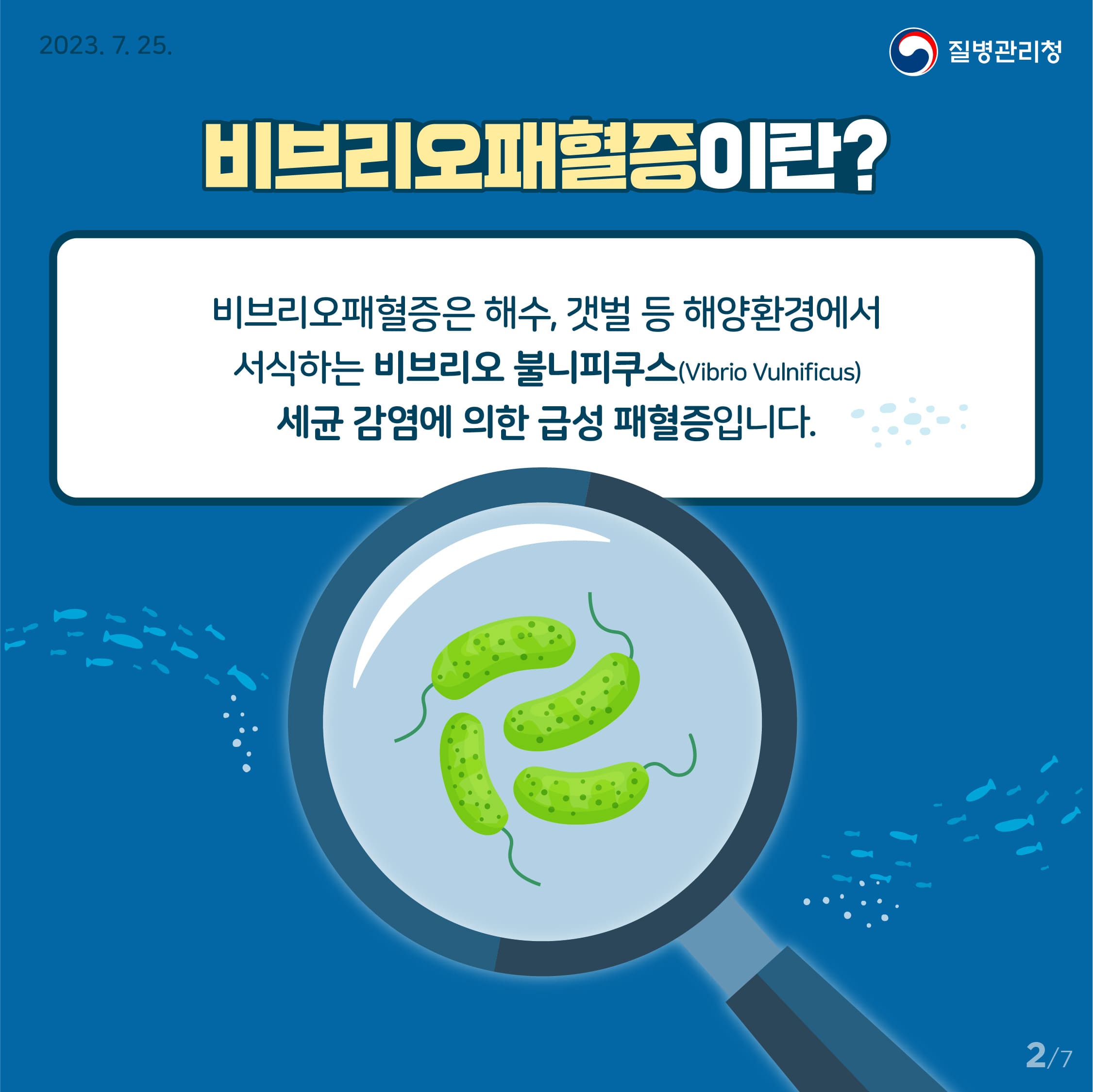 비브리오 패혈증
