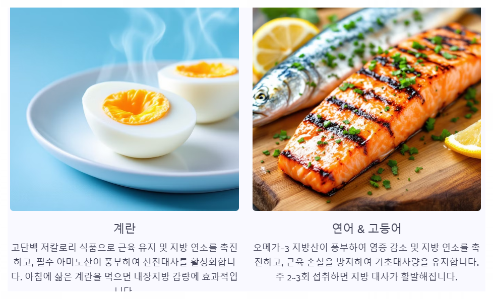 계란 연어 고등어