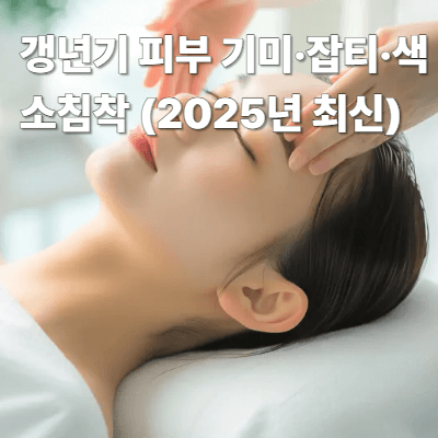 갱년기 피부 기미&middot;잡티&middot;색소침착 (2025년 최신)