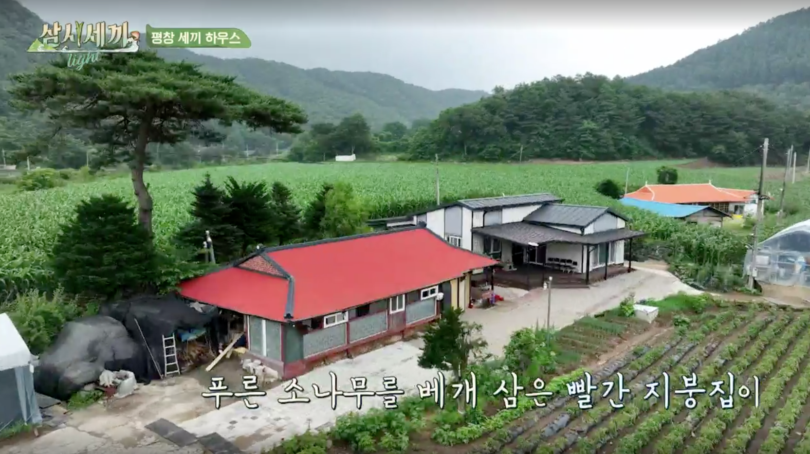 삼시세끼 라이트