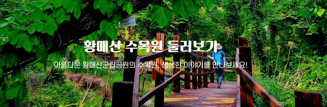 황매산 수목원