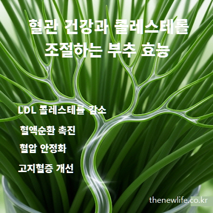 부추 효능 – 혈관 건강과 콜레스테롤 조절에 좋은 알리신과 클로로필
