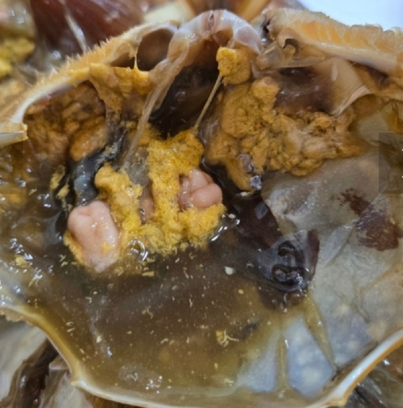 화성-사강시장-간장게장-택배