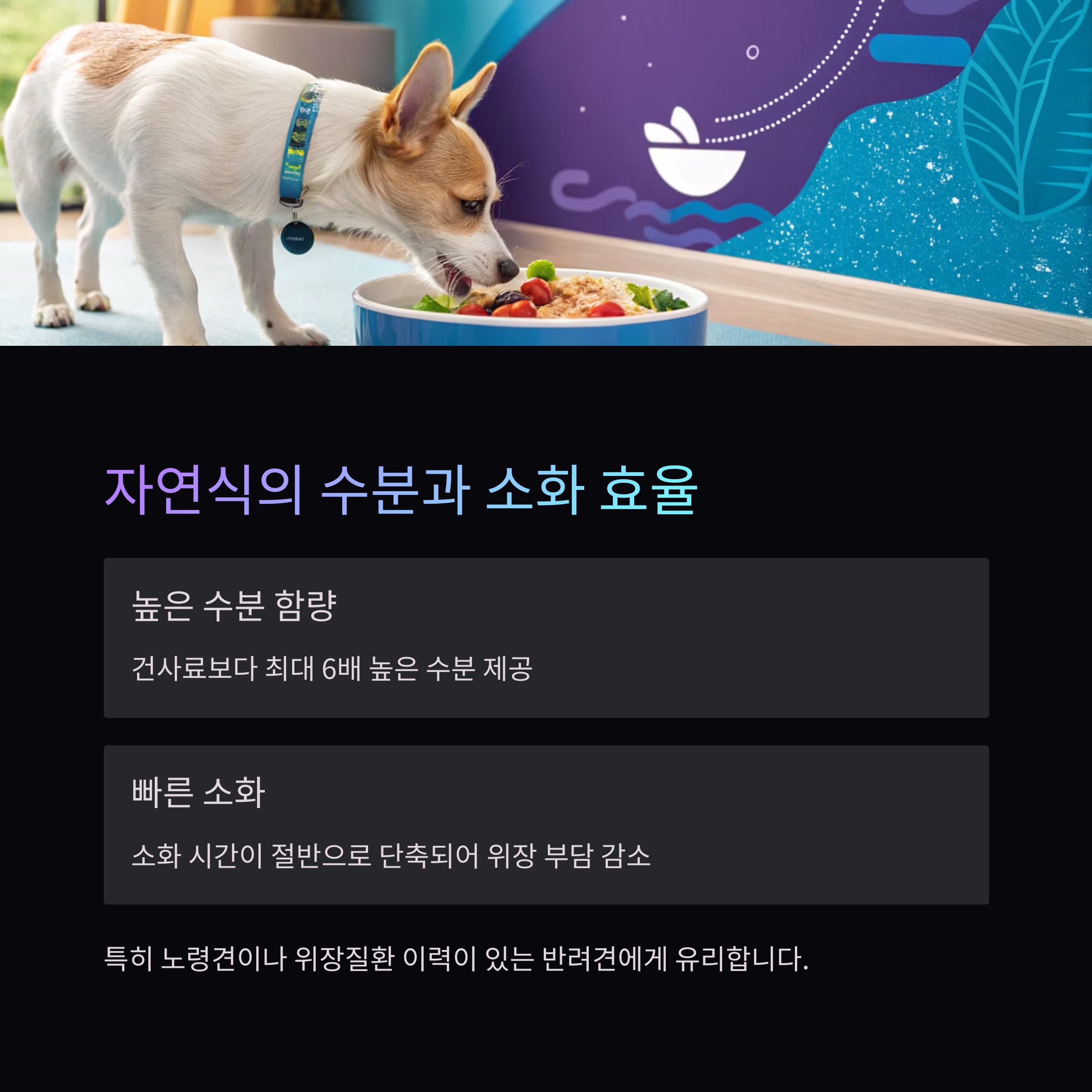 자연식의 수분과 소화 효율