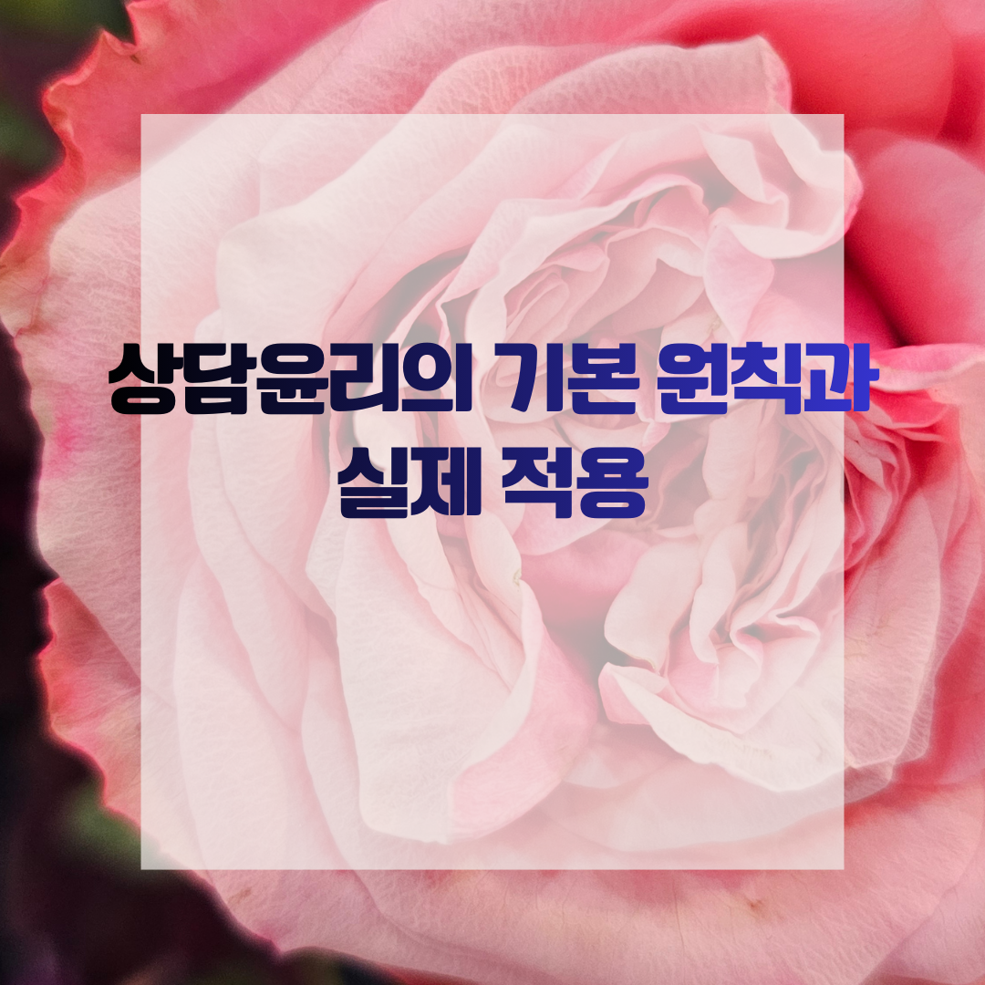 상담윤리의 기본 원칙과 실제 적용