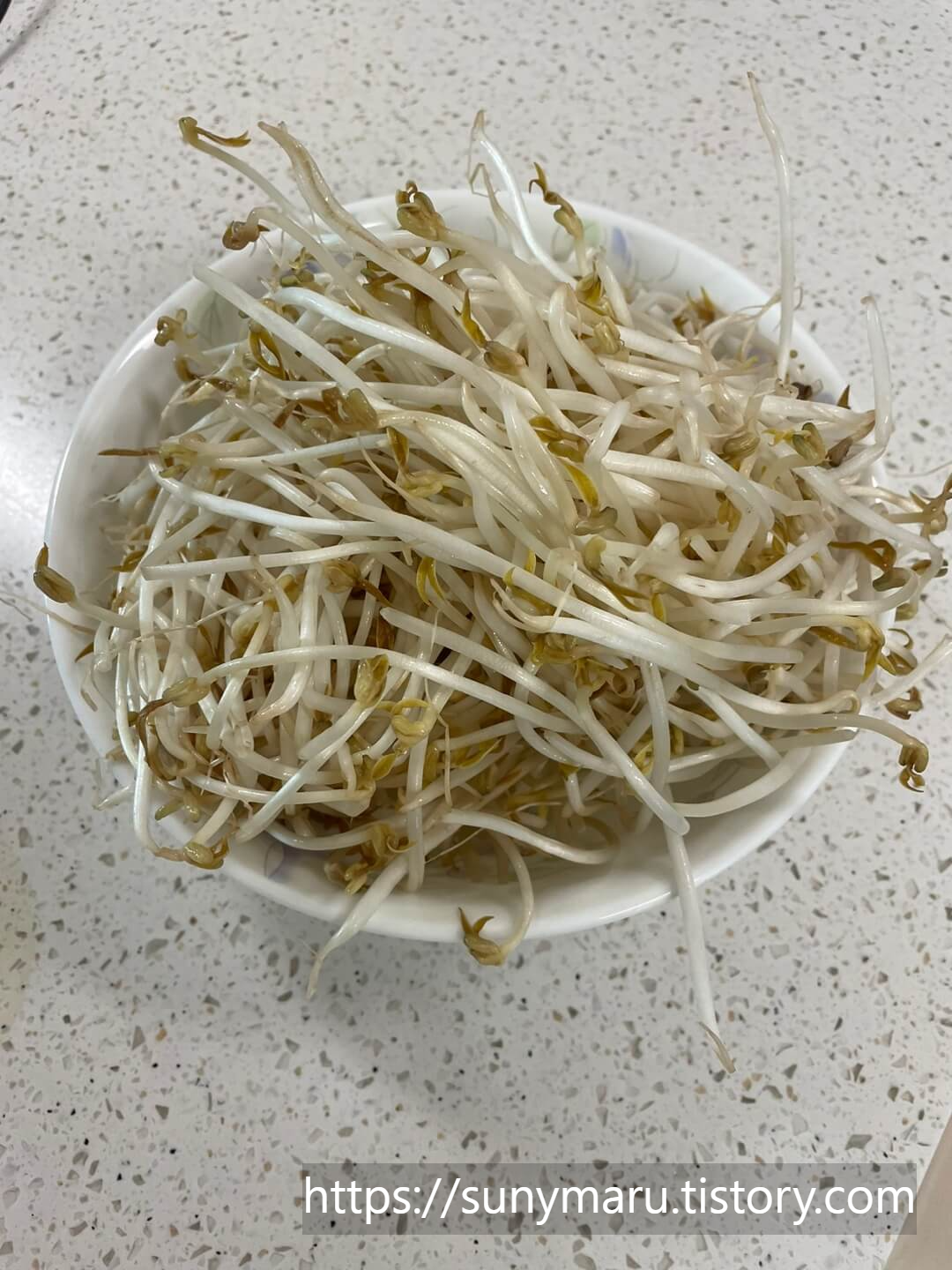 숙주나물무침