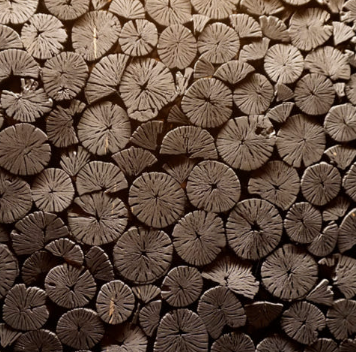 원주 참숯가마 찜질방 참숯