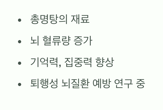 뇌 기능 활성화, '총명탕'의 재료