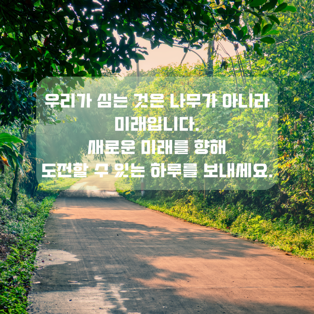 4월 인사말 식목일 인사글귀 좋은 글 문구 나무 숲 사진 이미지 모음집