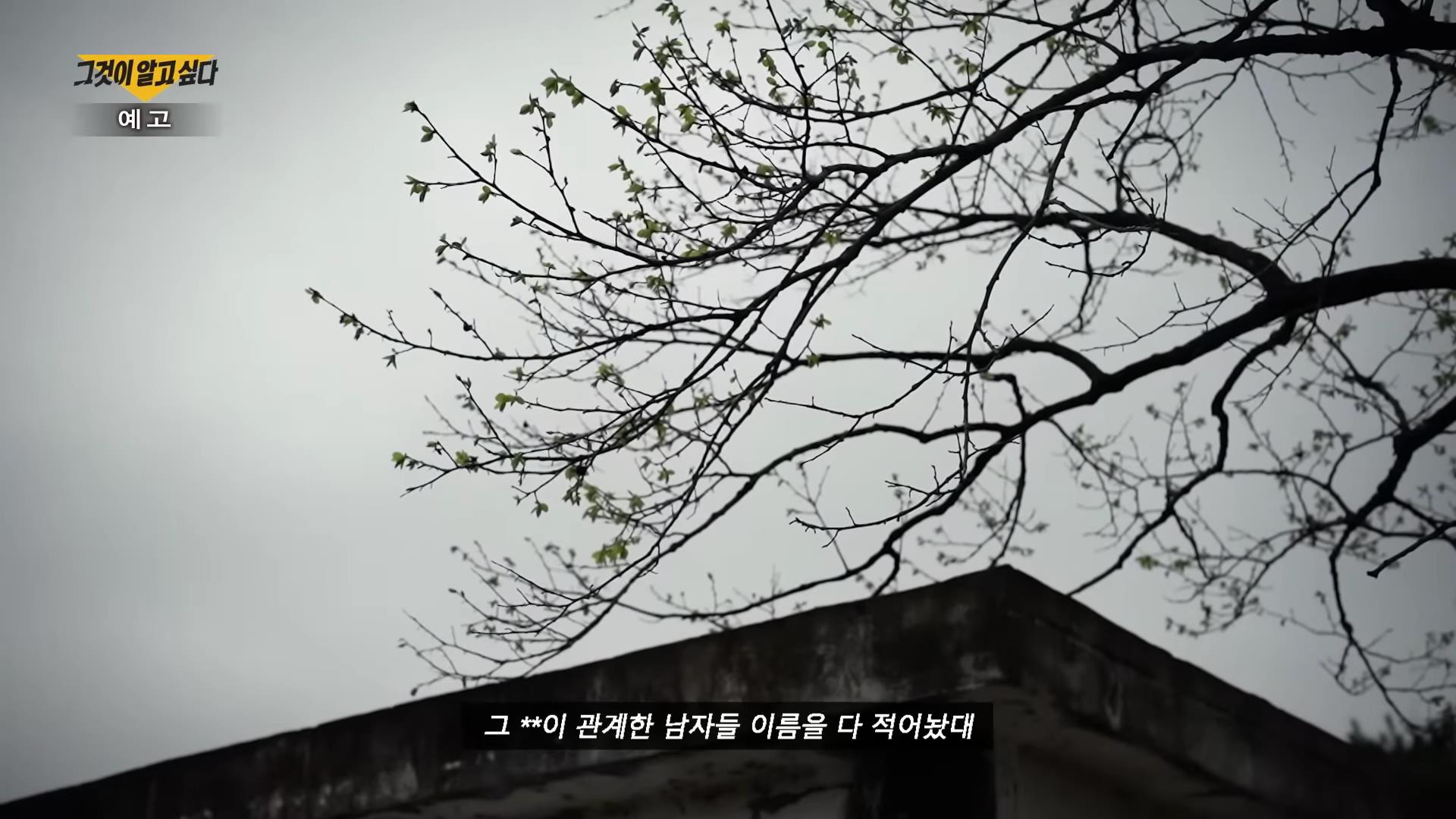 전남 지적장애소녀 집단 성폭행 사건 13명 공모자들 추악한 소문과 거짓말