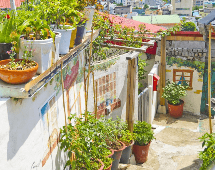 가고파-꼬부랑길-벽화마을