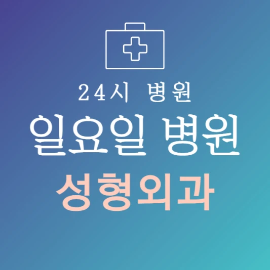 일요일-성형외과-문여는곳-주말에-진료하는-24시간-성형외과과-일요일-진료-병원