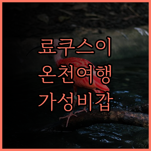 비와코 료쿠스이테이 후기.. 온천과 