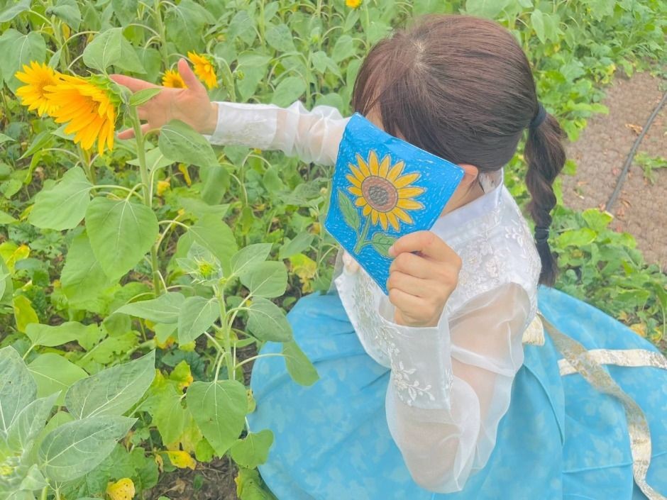 해바라기 축제
