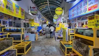 속초 대포항 맛집 추천 회센터 근처 인기 식당 리스트_18