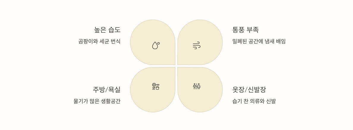장마철 냄새의 주요 원인은?