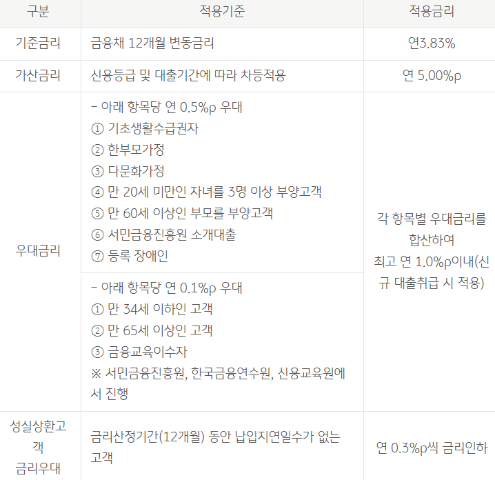 국민은행 새희망홀씨대출