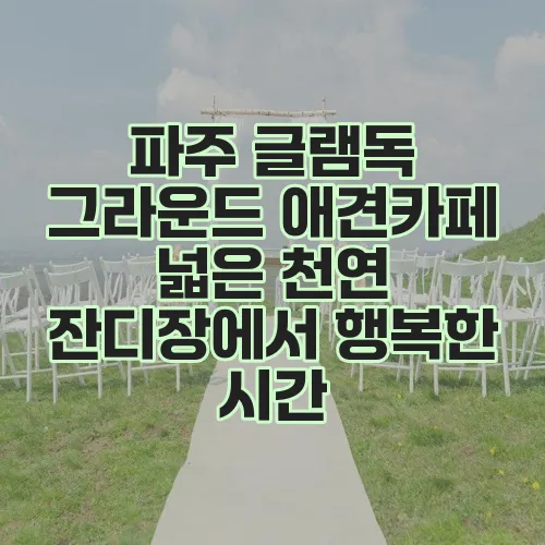 파주 글램독 그라운드 애견카페 넓은 천연 잔디장에서 행복한 시간, 정말 좋겠죠?