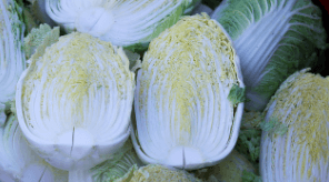 절임배추 20kg 몇포기