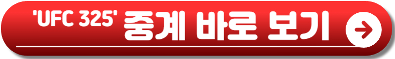 UFC 325